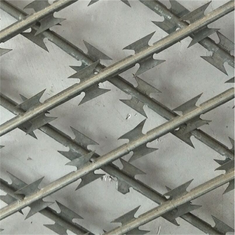 围墙刺铁丝网 围墙刺铁丝网