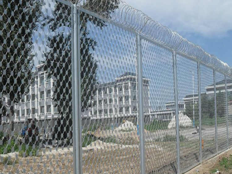 梅花刺隔离网 梅花刺隔离网